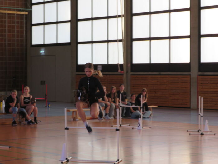 Bild 2